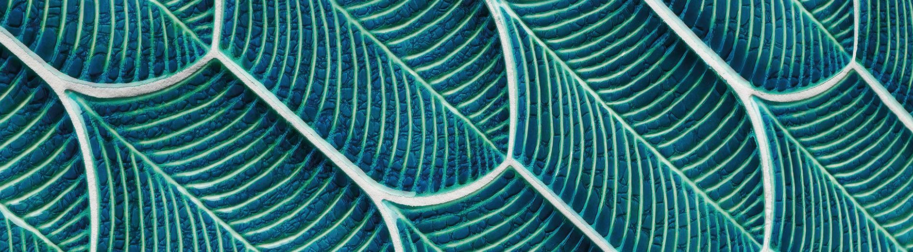 Fern