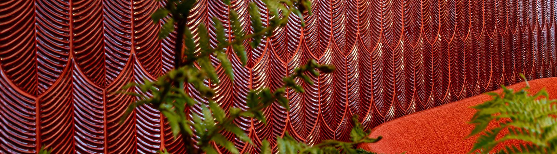 Fern