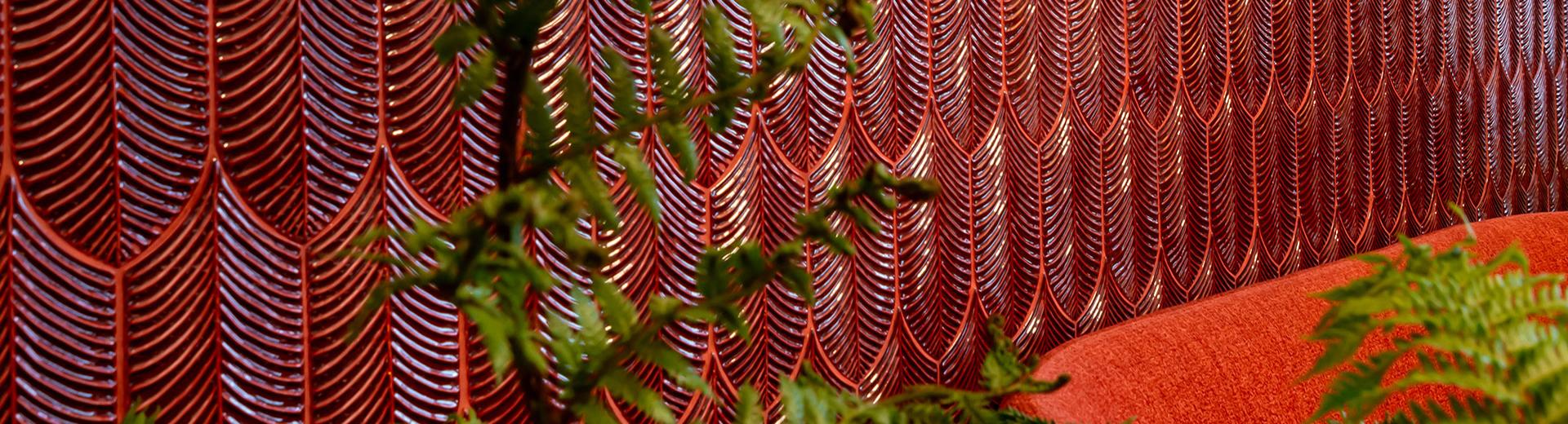 Fern