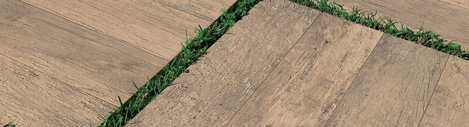 Everest Wood