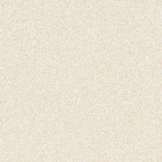 eco.jpg